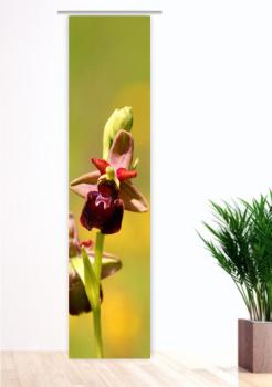 Wilde Orchidee, Flächenvorhang Einzel